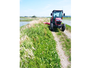 スライドモアー草刈り