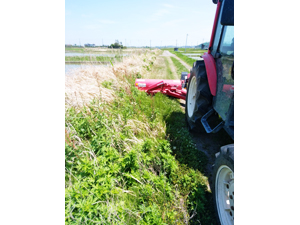 スライドモアー草刈り