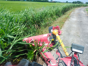 スライドモアー草刈り