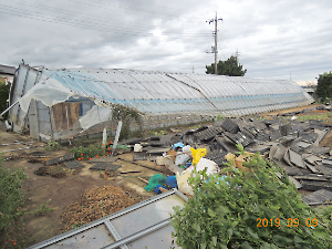 令和元年房総半島台風（台風１５号）被害調査