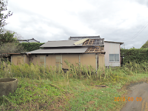 令和元年房総半島台風（台風１５号）被害調査