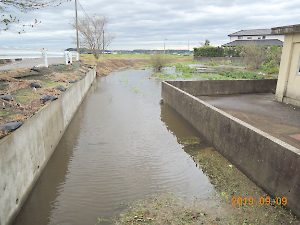 令和元年房総半島台風（台風１５号）被害調査