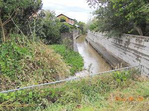 令和元年房総半島台風（台風１５号）被害調査