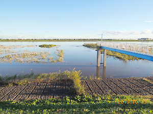 令和元年東日本台風（台風１９号）被害調査