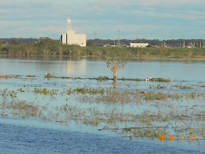 令和元年東日本台風（台風１９号）被害調査