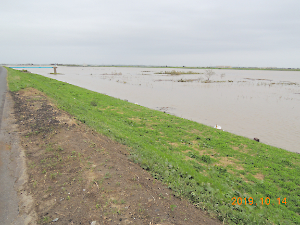 令和元年東日本台風（台風１９号）被害調査