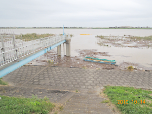 令和元年東日本台風（台風１９号）被害調査