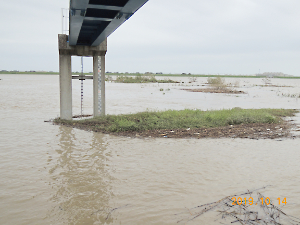 令和元年東日本台風（台風１９号）被害調査