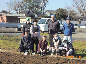 植栽チューリップ植付