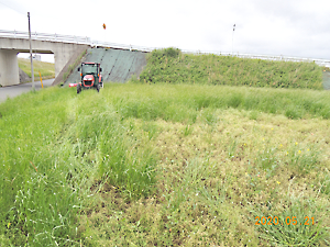 スライドモア草刈り