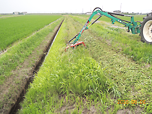 ツインモア草刈り