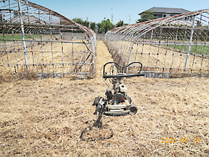 管理放棄地草刈り