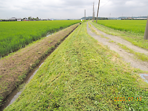 ツインモア草刈り