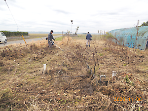 管理放棄地整備