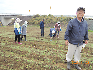 植栽（チューリップ植付）