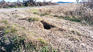 農道陥没確認