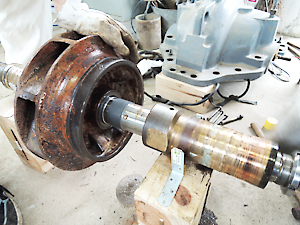 用水ポンプ整備