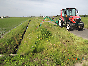 ツインモア草刈り