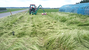 ツインモア草刈り