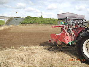 植栽（ひまわり播種）