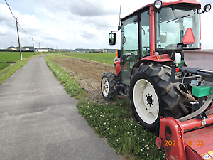 植栽（ひまわり播種）