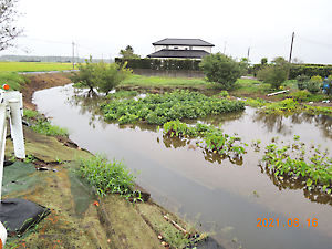 大雨被害状況確認