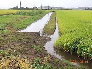 大雨被害状況確認