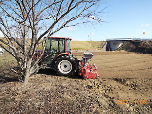 植栽（チューリップ播種）