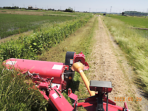 草刈り（スライドモア）