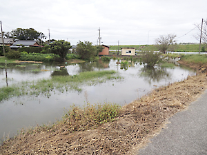 異常気象被害調査