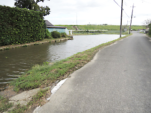 異常気象被害調査