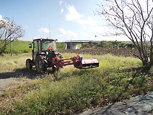 植栽準備（草刈り）