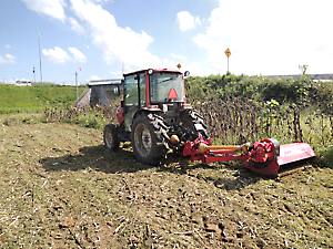 植栽準備（草刈り）