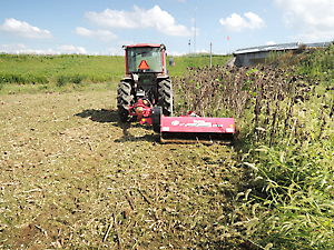 植栽準備（草刈り）