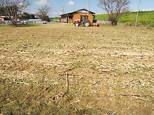 植栽準備（草刈り）