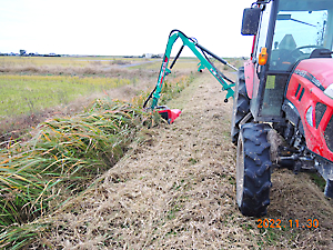 草刈り（ツインモア）