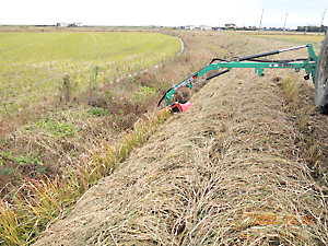 草刈り（ツインモア）