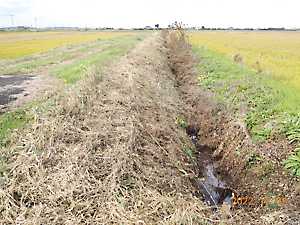 草刈り（ツインモア）