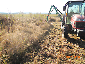 草刈り（ツインモア）