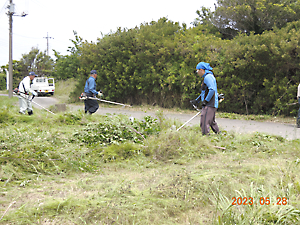 耕作放棄地管理