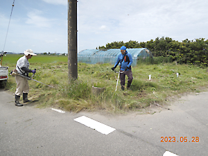 耕作放棄地管理