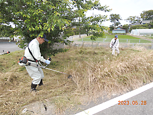 草刈り、ゴミ拾い