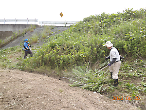 草刈り、ゴミ拾い