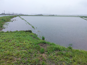 異常気象被害調査