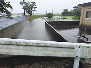 異常気象被害調査