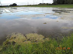 異常気象被害調査