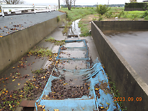 異常気象被害調査