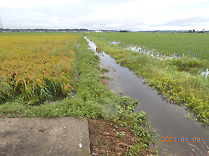異常気象被害調査