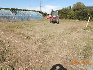 耕作放棄地管理