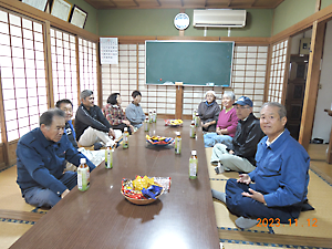 チューリップ植付